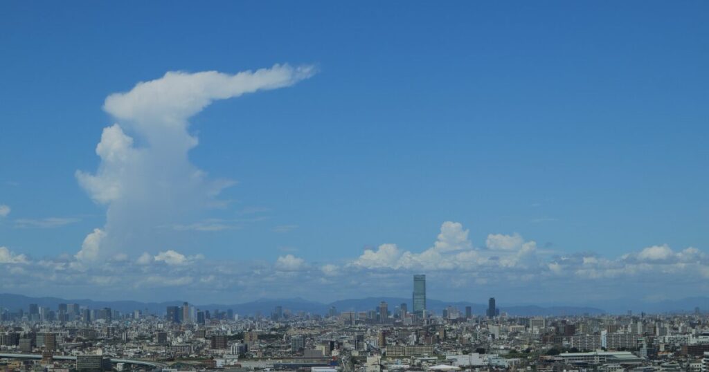 3-3堺市でおすすめのドライバー派遣会社を厳選！地域特性・料金相場・選び方のポイント