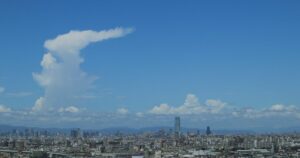 3-3堺市でおすすめのドライバー派遣会社を厳選！地域特性・料金相場・選び方のポイント