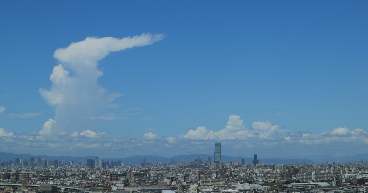 3-3堺市でおすすめのドライバー派遣会社を厳選！地域特性・料金相場・選び方のポイント