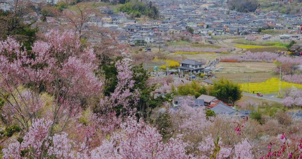 7-4KW：ドライバー派遣 福島｜福島でドライバー派遣を依頼するなら？郡山・いわき・福島市の料金相場と手配のコツ